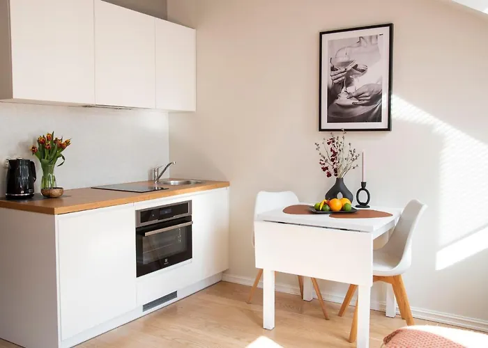 公寓 Estonishing Mere